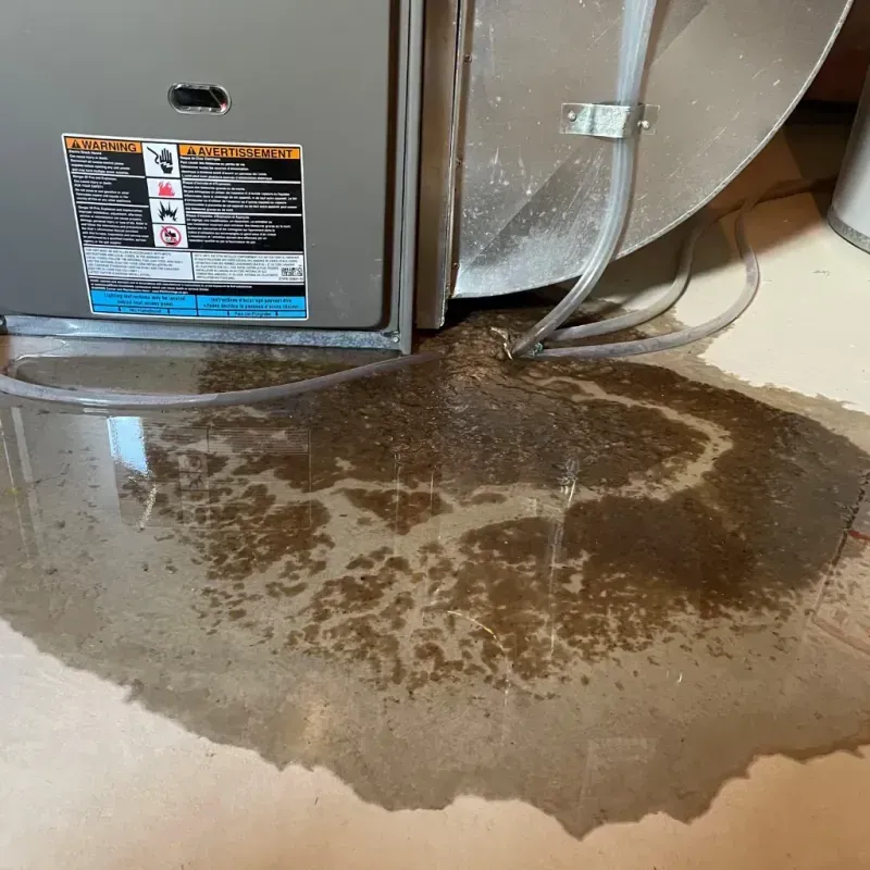 Appliance Leak Cleanup in Bayport, NY